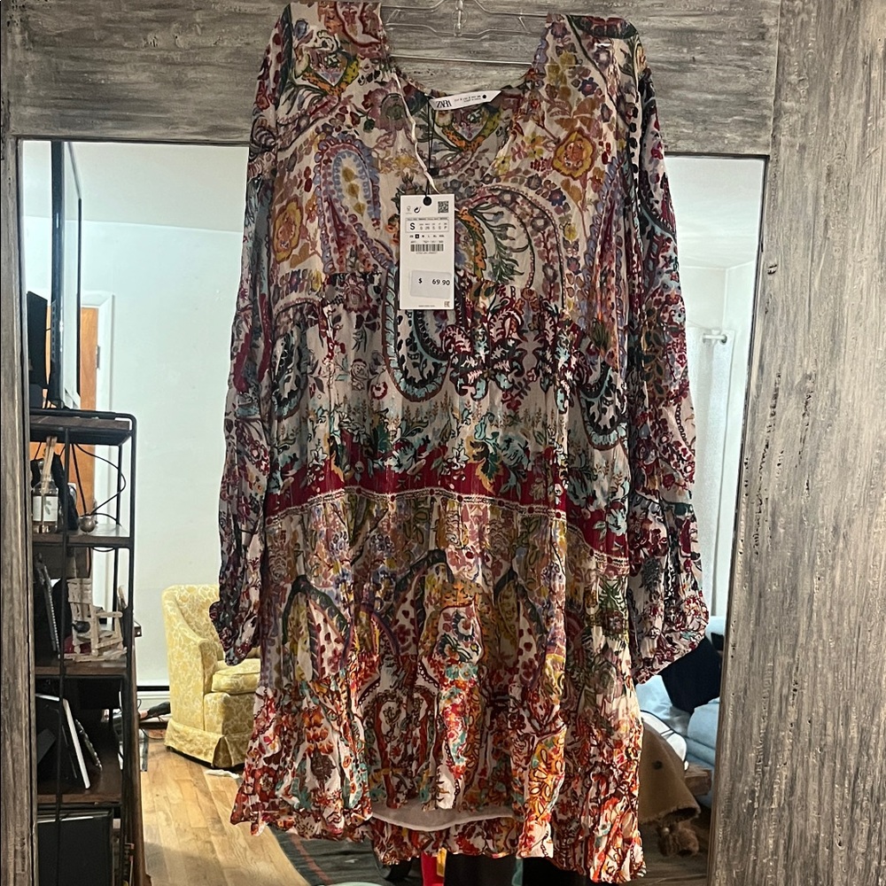 Zara Multicolor Paisley Dress